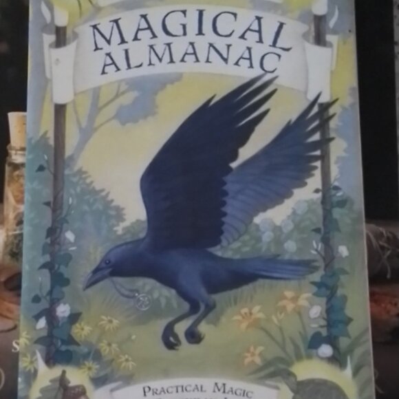 Lot 2 Llewellyn's Magical Almanac 2020 & 2021 One Modern Witch Spells Recipes - Picture 3 of 4